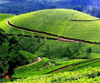 The best tourist places in south india