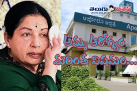 Apollo hospital bulliten on jayalalithaa health