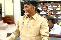 Chandrababau naidu punches while smiling