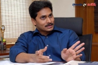 Ys jagan crow noise in kakinada