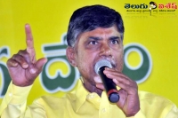 Tdp party president chandrababu naidu ground work on tdp party future