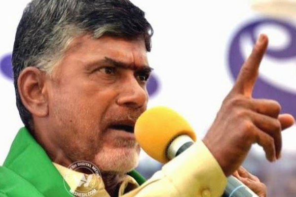 Tdp loose a mlc seat in andhrapradesh in recent elections