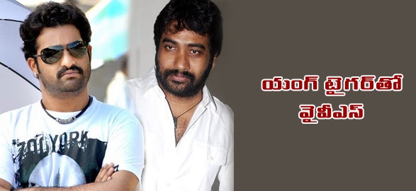 Yvs chowdary to direct jr ntr